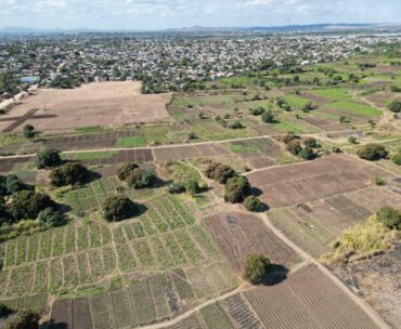 Expansive aerial view showcasing agricultural fields and rural landscape near Lilongwe, Malawi.